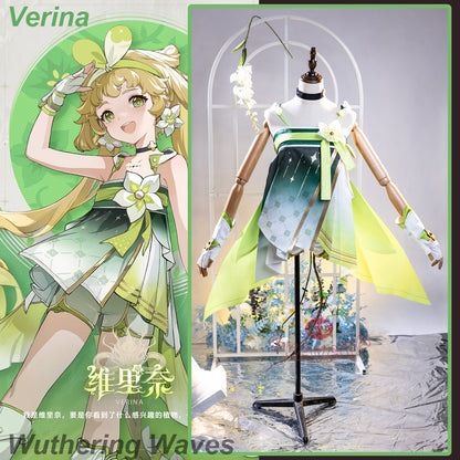 Gvavaya Game Cosplay Wuthering Waves Cosplay Verina Cosplay Costume