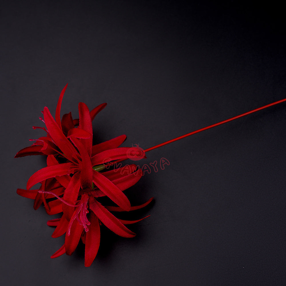 Gvavaya Game Cosplay Wuthering Waves Cosplay Phrolova Cosplay Costume